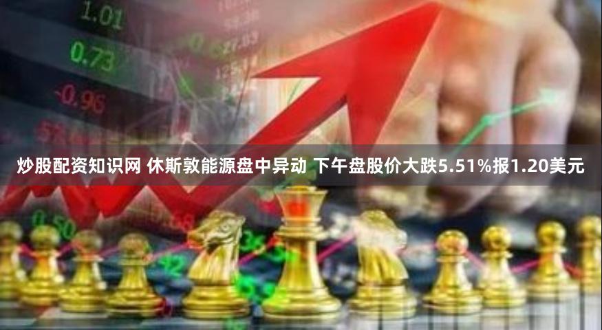 炒股配资知识网 休斯敦能源盘中异动 下午盘股价大跌5.51%报1.20美元